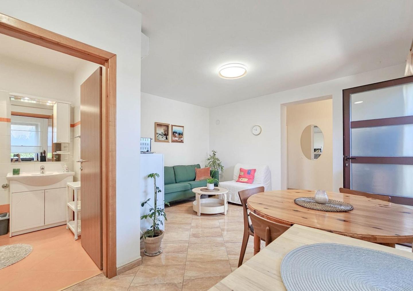 Apartments Maria Novigrad  Exterior photo